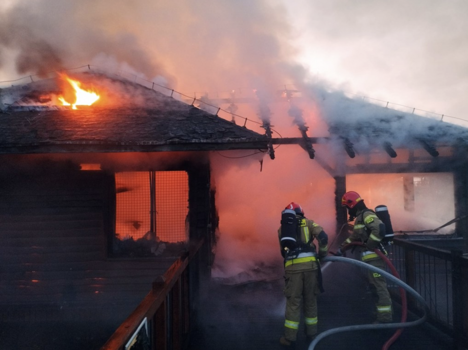 Duży pożar w ZOO w Borysewie, zginęły zwierzęta