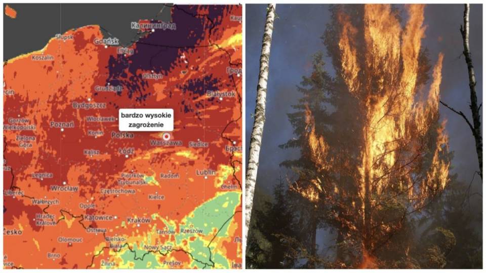 Bardzo wysokie zagrożenie pożarowe w lasach Łódzkiego! Wystarczy iskra, by wywołać katastrofę