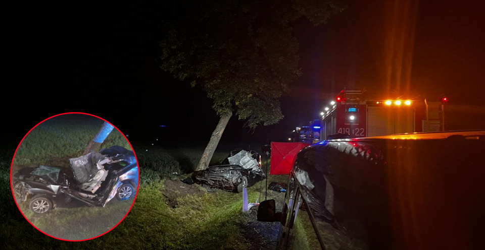 Koszmarny wypadek w gminie Rogów. Auto rozbiło się o drzewo, nie żyje kierowca